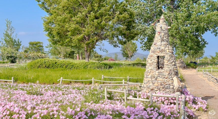 창원 대산플라워랜드 꽃구경 명소, 개화시기부터 주차팁까지 정리!