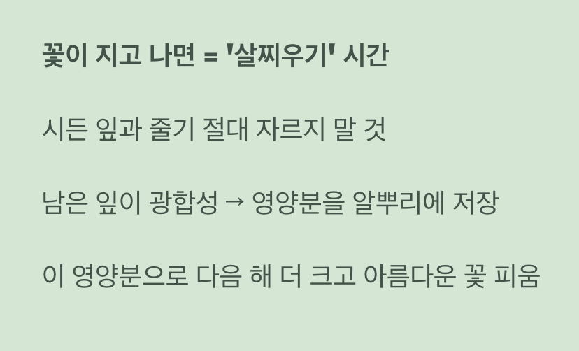 꽃이 진 후&amp;#44; 진짜 관리가 시작된다