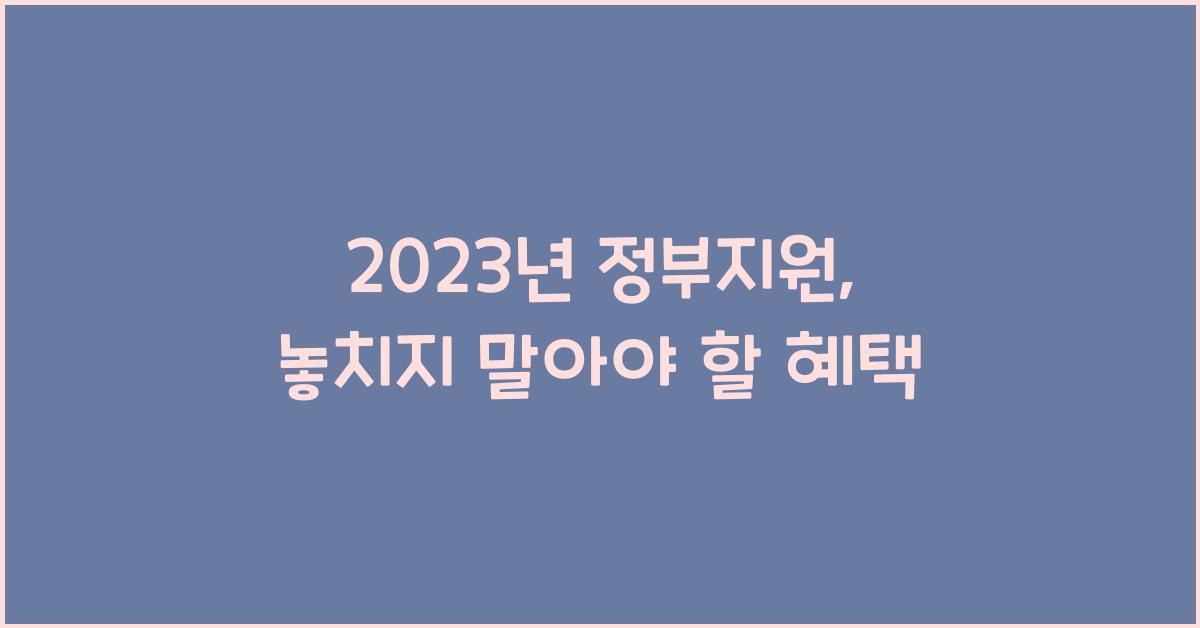 정부지원