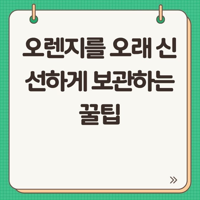 오렌지를 오래 신선하게 보관하는 꿀팁