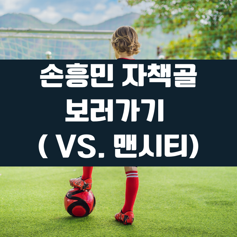 손흥민 자책골 영상