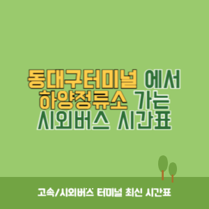 동대구터미널에서 하양정류소 가는 시외버스 시간표 최신정보