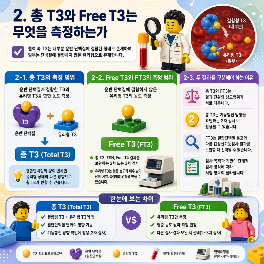 총 T3와 Free T3의 측정 범위, 결합형과 유리형 T3의 차이를 비교한 레고 스타일 메디컬 인포그래픽