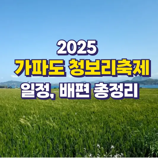 2025 가파도 청보리축제 총정리