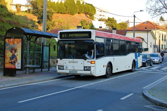 서울경부 경포해변 고속버스 터미널 시간표 예매방법