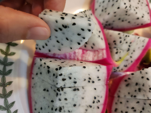 용과먹는법