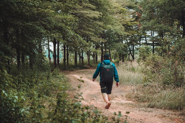 마음치유 사진3