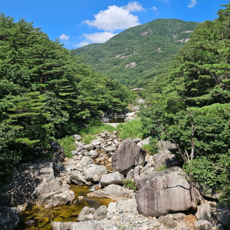무릉계곡