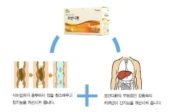 배에 가스가 차고 방귀를 자주 뀜 원인부터 해결책까지 한번에 알아보기_16
