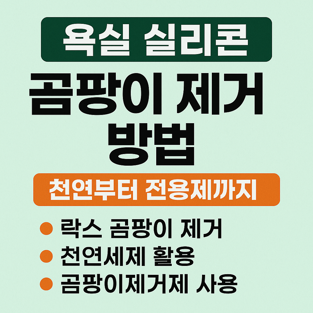 욕실 실리콘 곰팡이 제거 방법