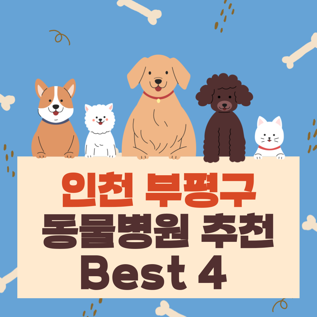 인천 부평구 동물병원