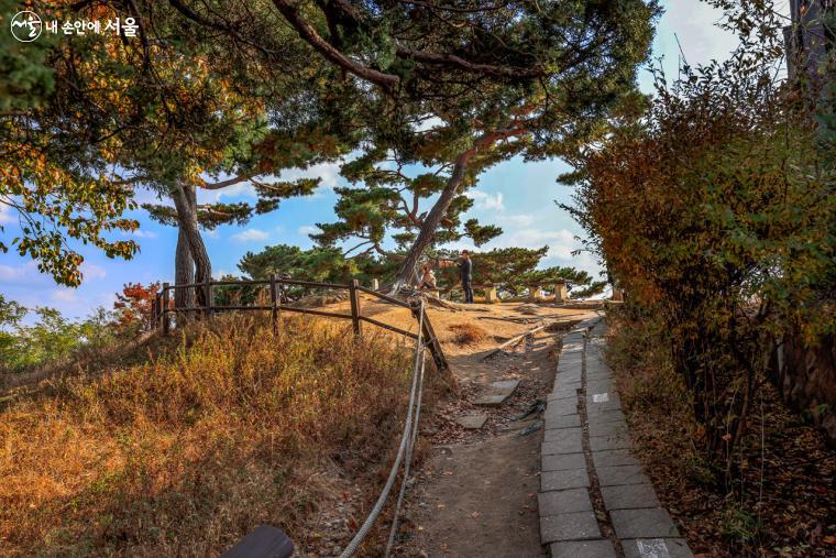 한참 오르다 보니, 해발 293m '청운대'가 보인다.
