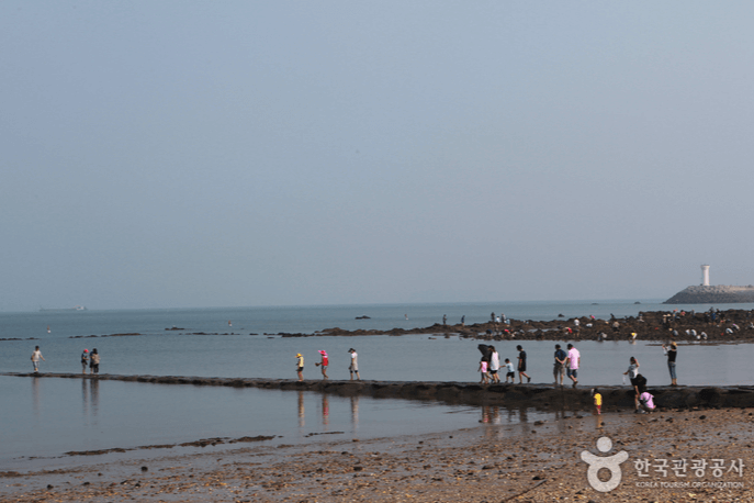 무창포해수욕장 (보령시)