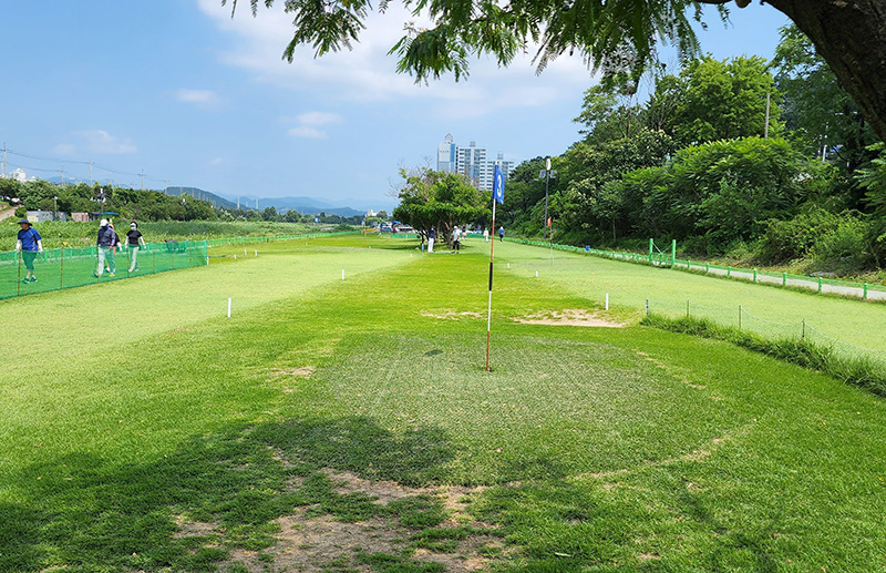 원주 태장동파크골프장 (원주시파크골프장, 원주파크골프장) 강원도 원주시 태장동 1349-16 둔치