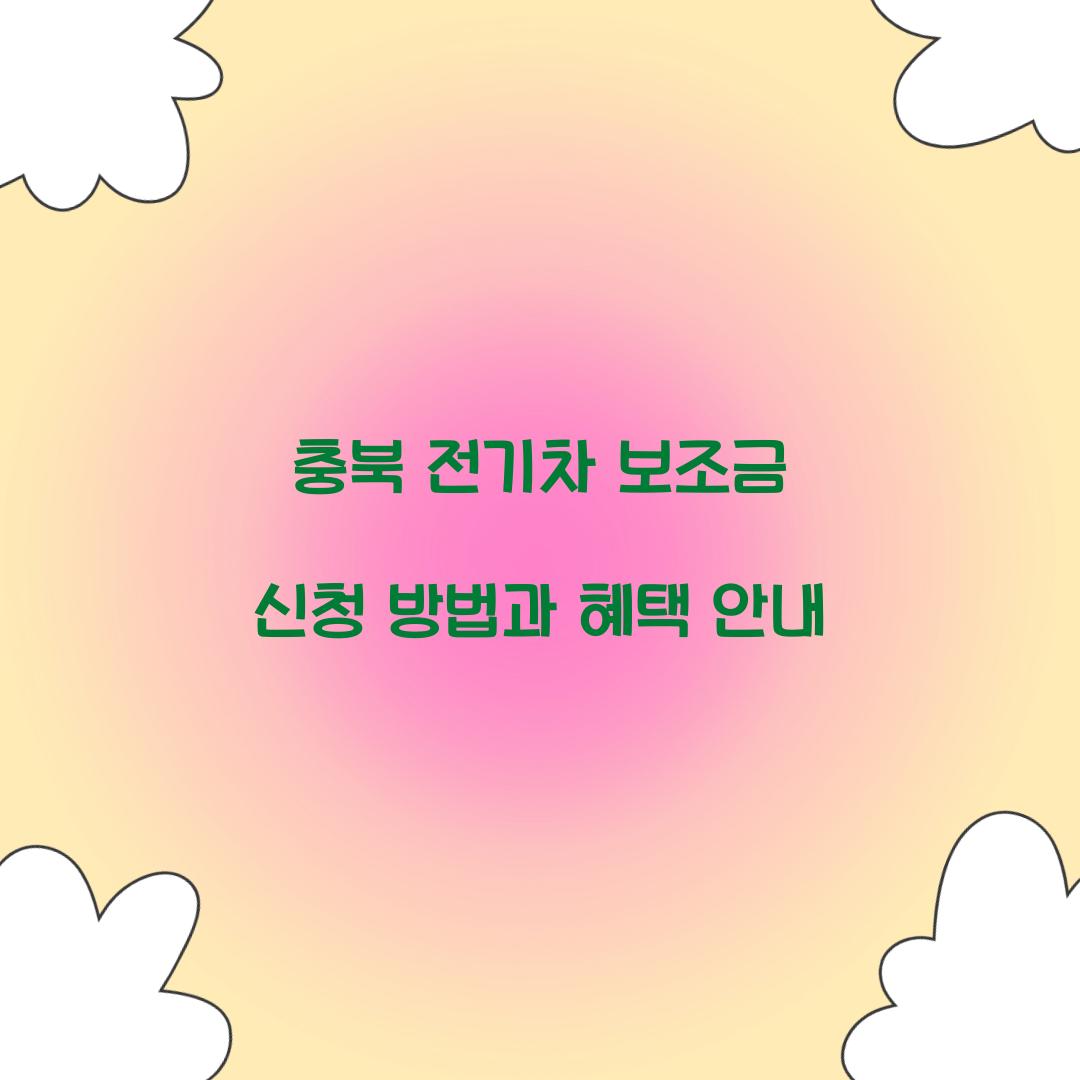 충북 전기차 보조금