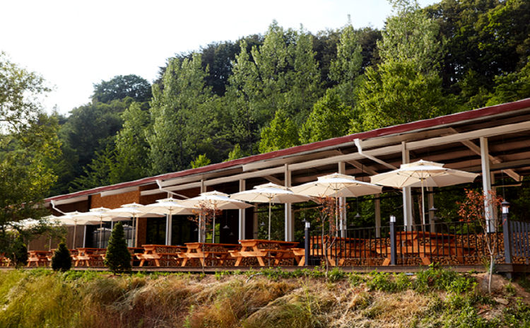 홍천 알파카월드