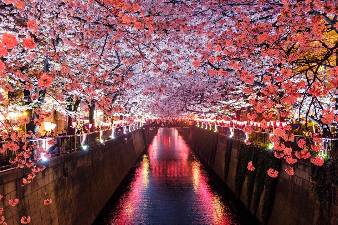 Google Japan