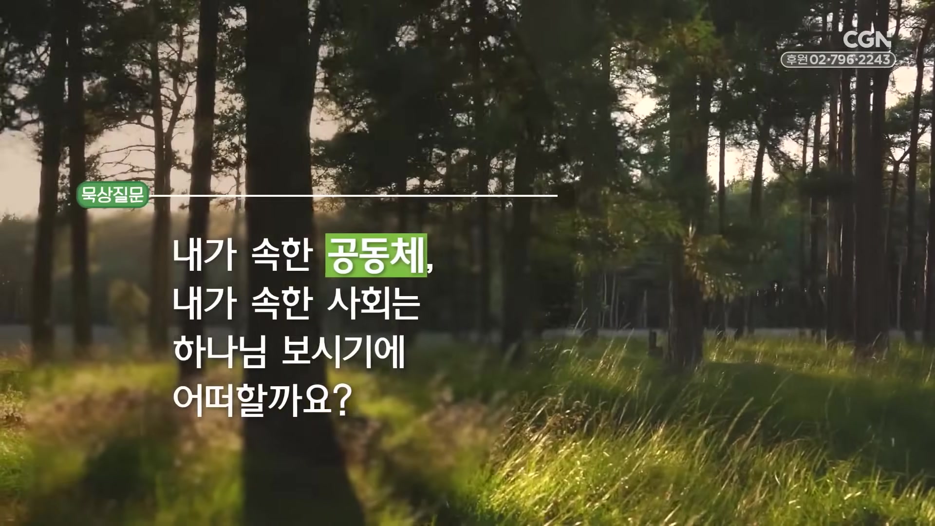 내가 속한 공동체, 내가 속한 사회는 하나님 보시기에 어떠할까요?