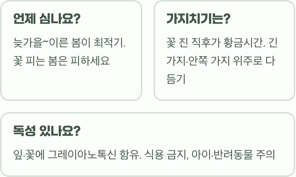 전원주택 정원수로 영산홍을 강력 추천하는 5가지 이유 (조경 꿀팁)