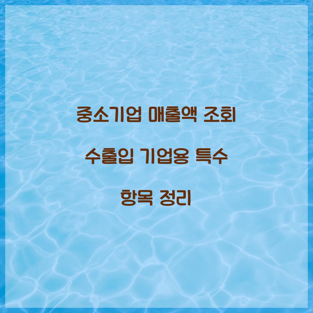 중소기업 매출액 조회 수출입 기업용 특수 항목 정리