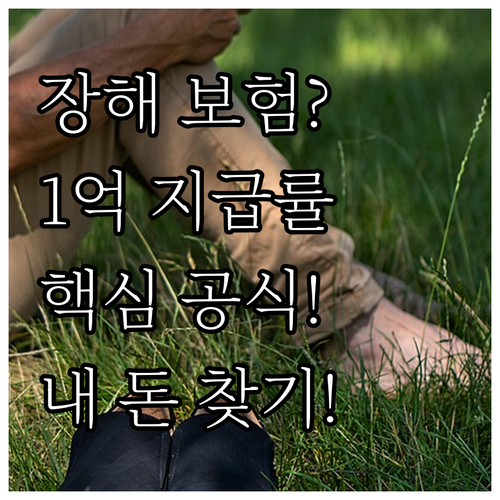 상해후유장해 보험금 지급률: 1억 원..