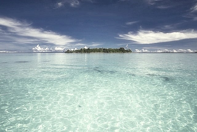 에코프로비엠 주가분석