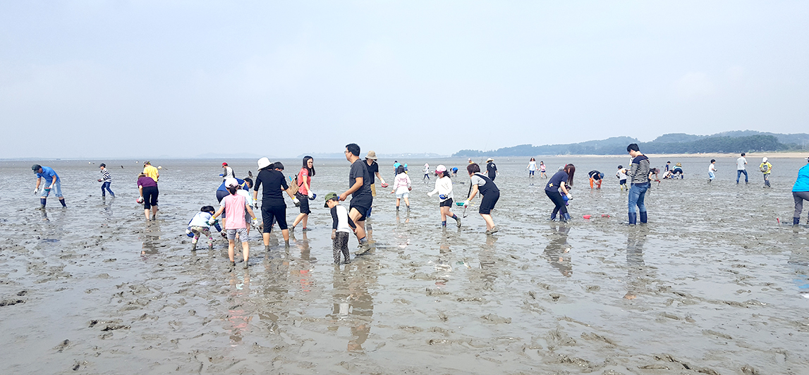 제부도 여행방법, 물때시간표, 케이블카, 글램핑, 카라반, 갯벌체험 준비물, 가볼만한곳