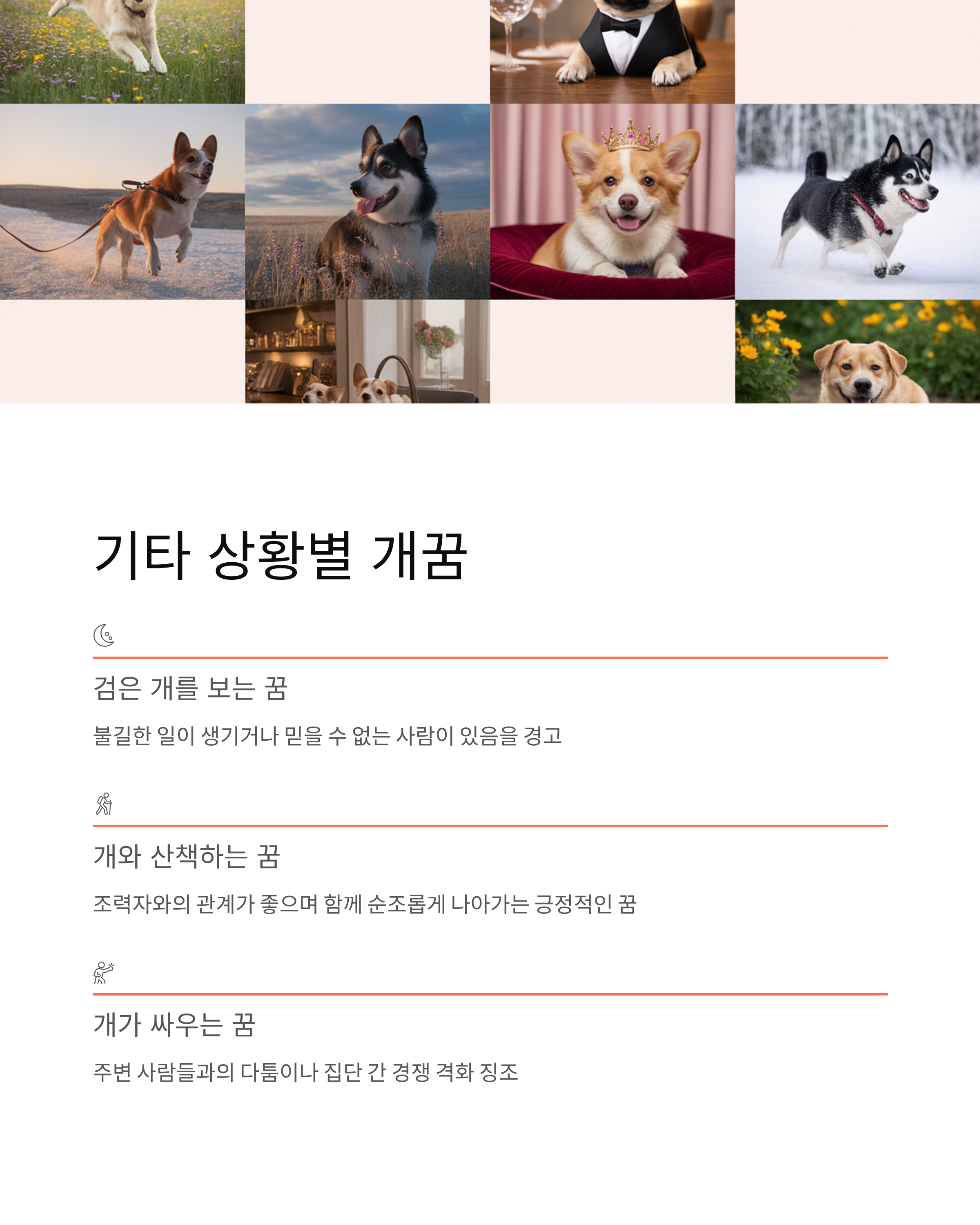 개꿈 해몽, 개한테 **물리는 꿈**은 대박 횡재수? **강아지 낳는 꿈** 태몽 핵심 정리!