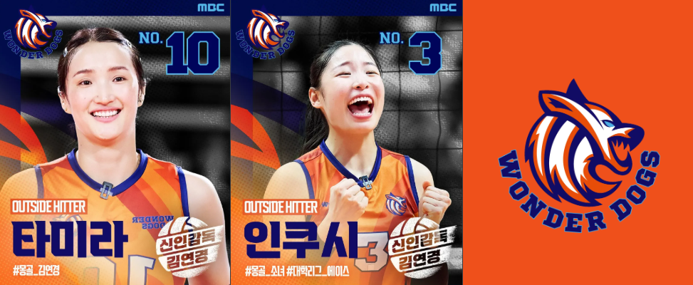 신인감독 김연경