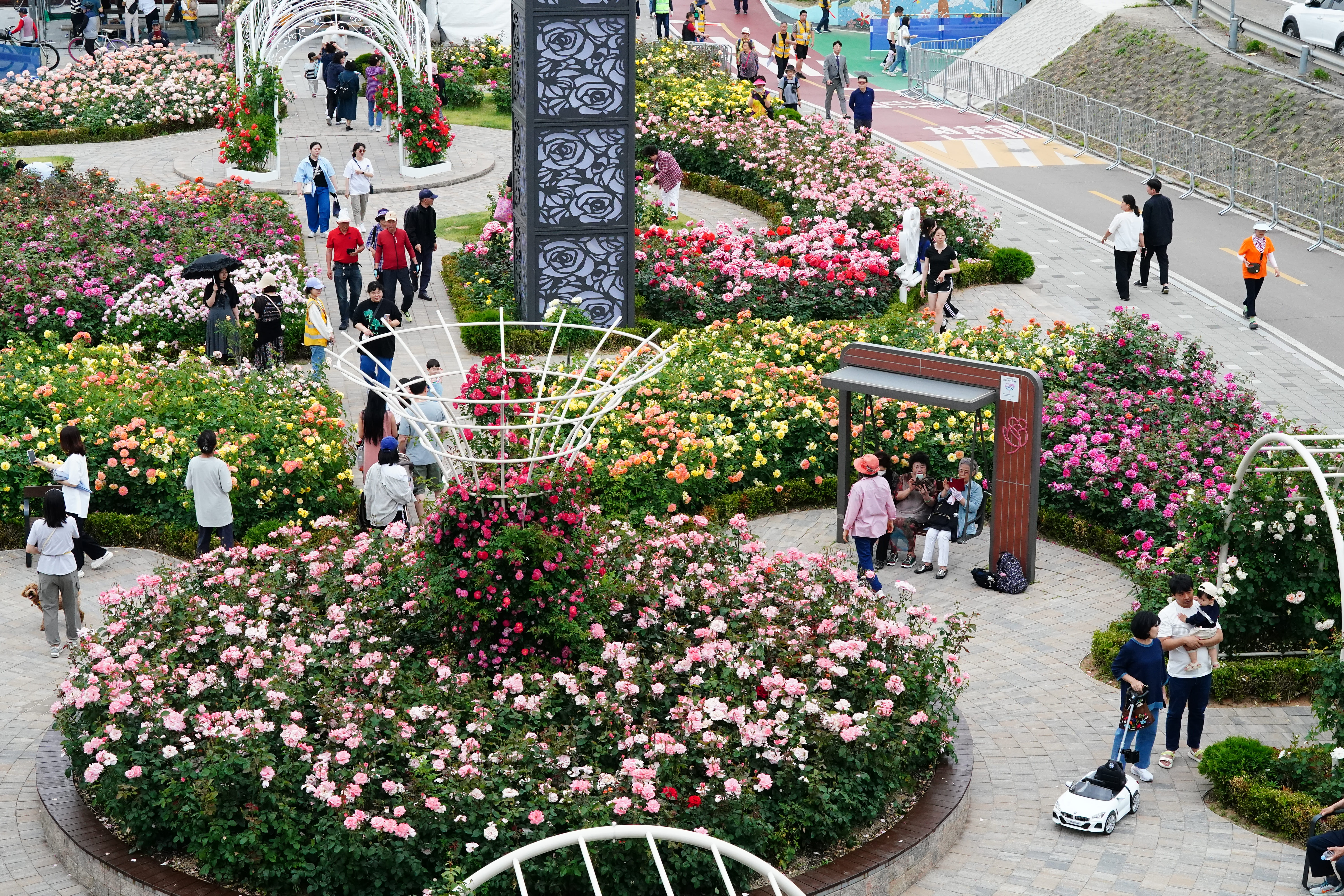 [5월 축제]2025 중랑 서울장미축제❘기간, 일정 및 프로그램, 공연 상세 시간표 정리
