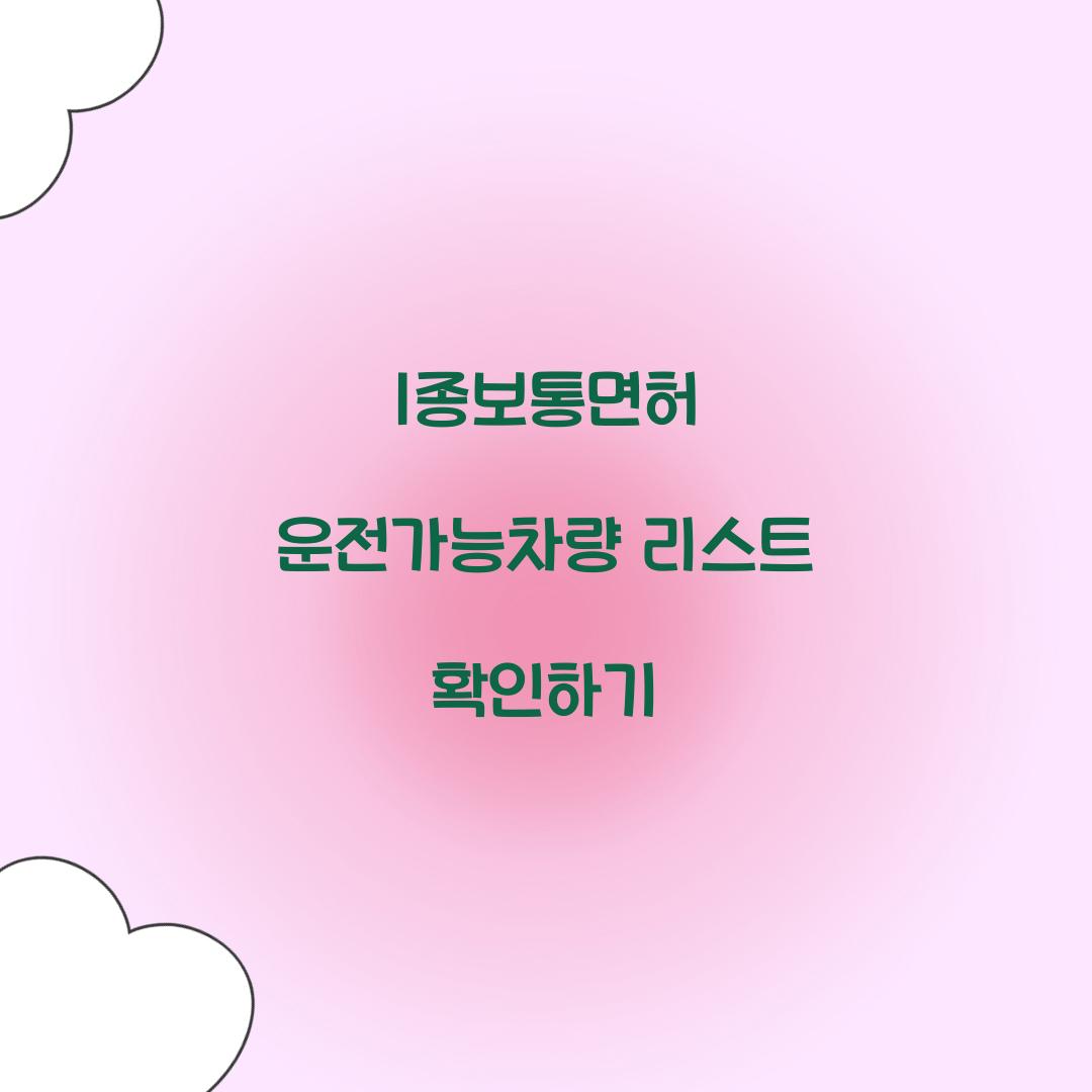 1종보통면허 운전가능차량 리스트