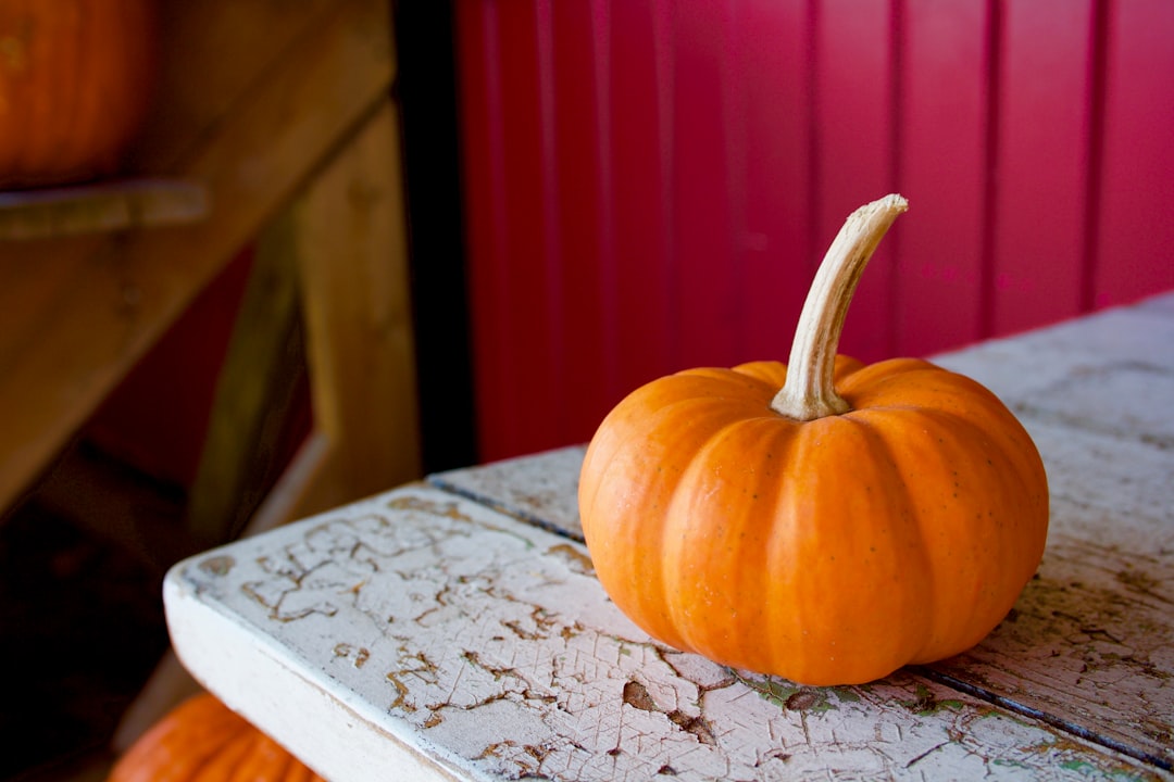 Pumpkin