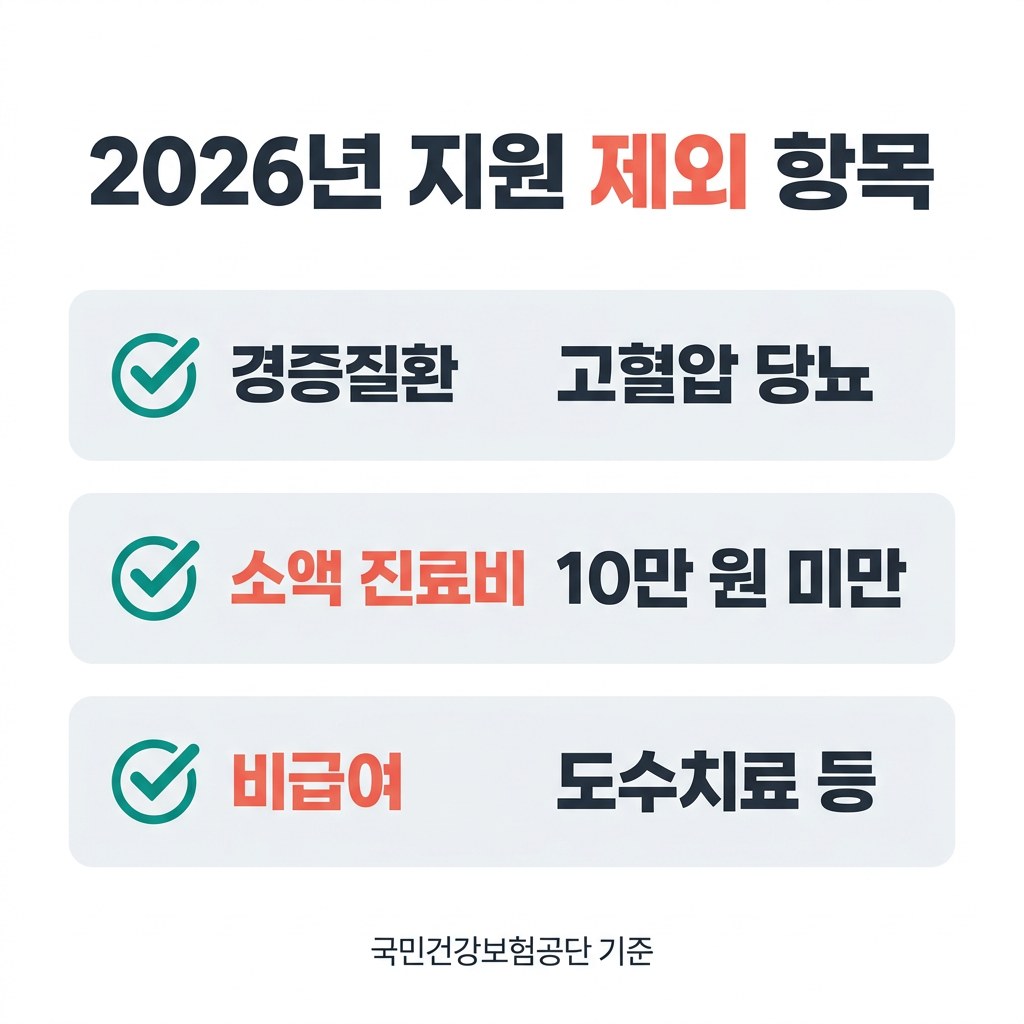 재난적 의료비 신청 2026년 지원 제외 항목