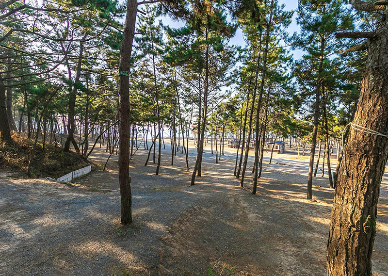 태안군 어은돌 송림캠핑장 소개