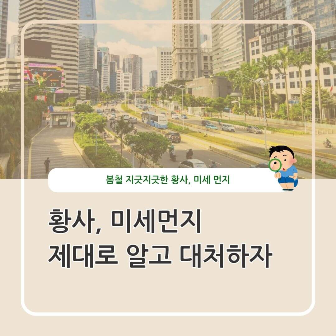 황사, 미세먼지 대처법