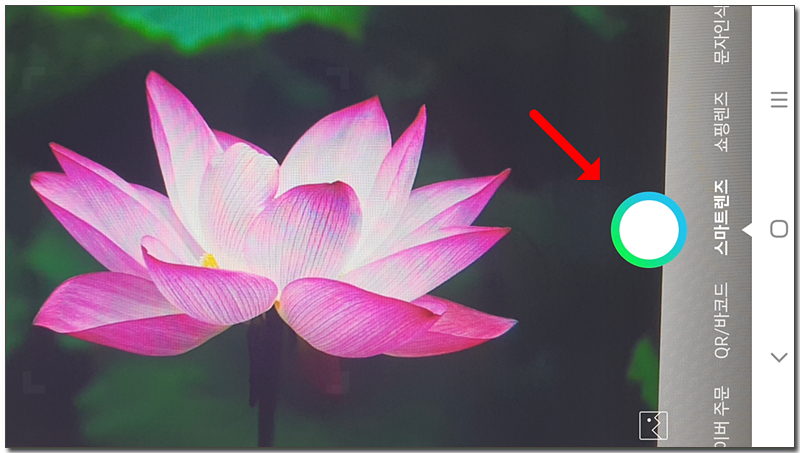 λ€μ΄λ² μ€λ§νΈλ μ¦ νλ©΄