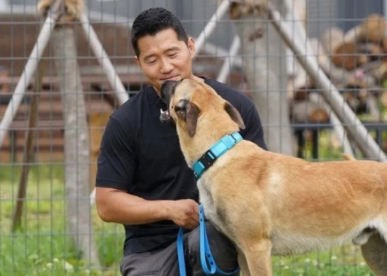 강형욱 보듬 컴퍼니 훈련비용 매출 근황