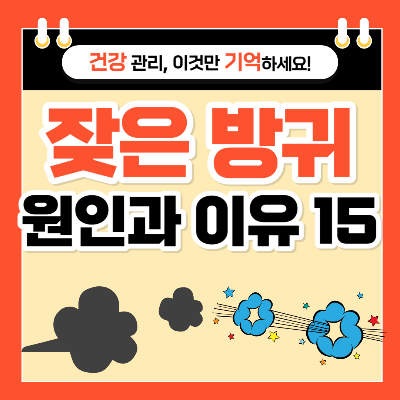 방귀가 많이 나오는 이유