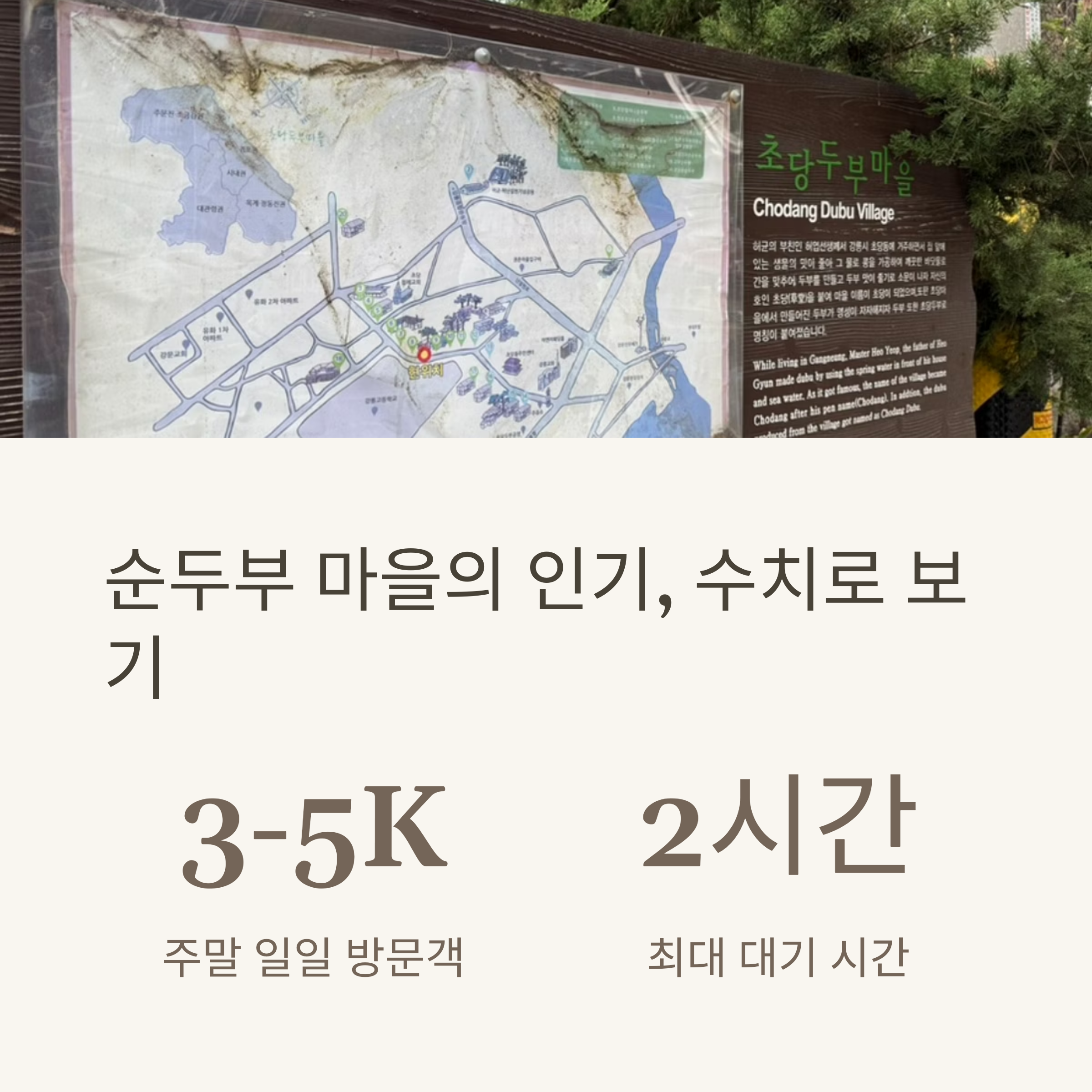 순두부 마을의 인기, 수치로 보기