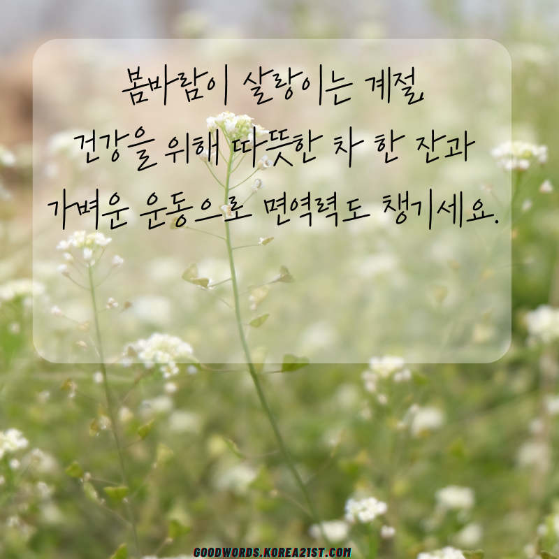 3월 인사말 문구 이미지 모음집