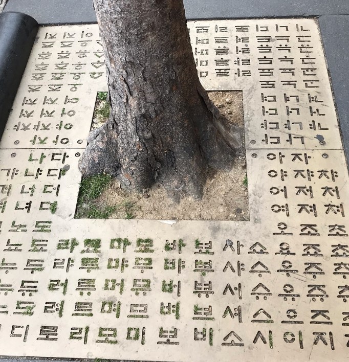 가로수 덮개