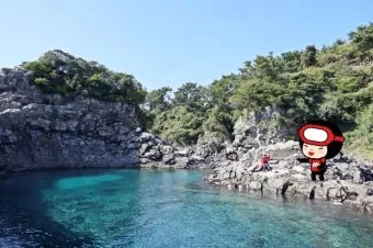 제주도 가볼만한곳 베스트10 어르신도 편한 오름 카페 맛집 코스_9