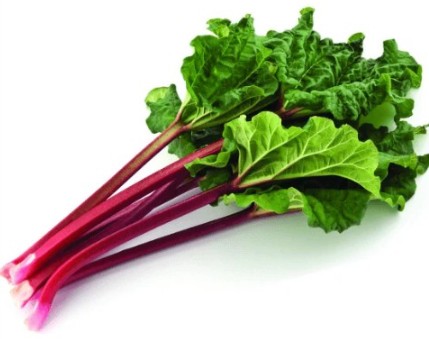 루바브의 효능 및 부작용, 먹는법 그리고 보관법(냉장, 냉동)