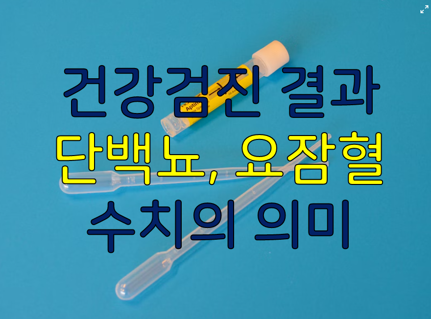 요단백(단백뇨)과 요잠혈(혈뇨) 양성