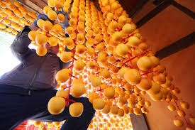 상주곶감축제 주차장&amp;#44; 이찬원&amp;#44; 기차예매