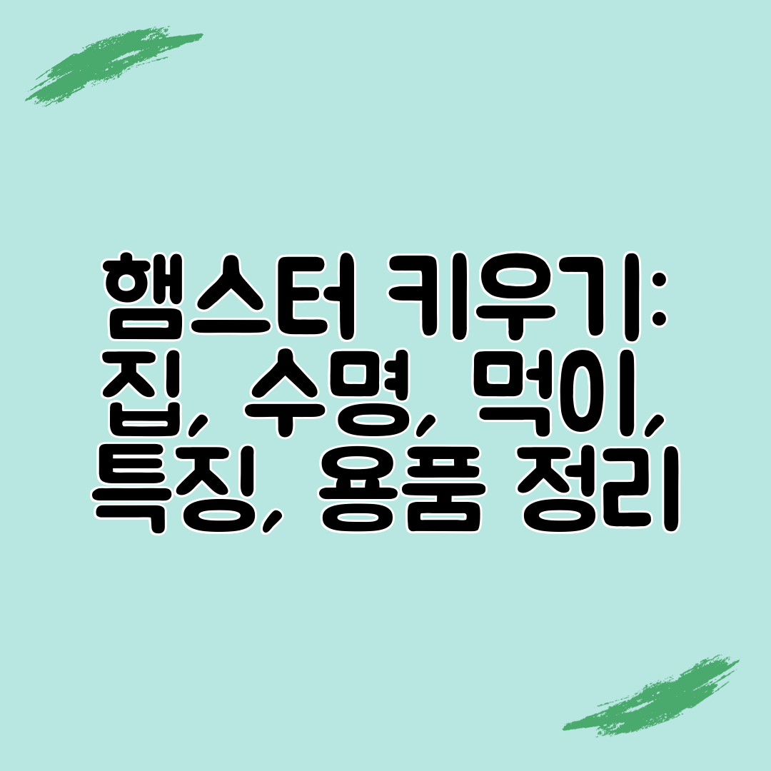 햄스터 키우기 집, 수명, 먹이, 특징, 용품 정리