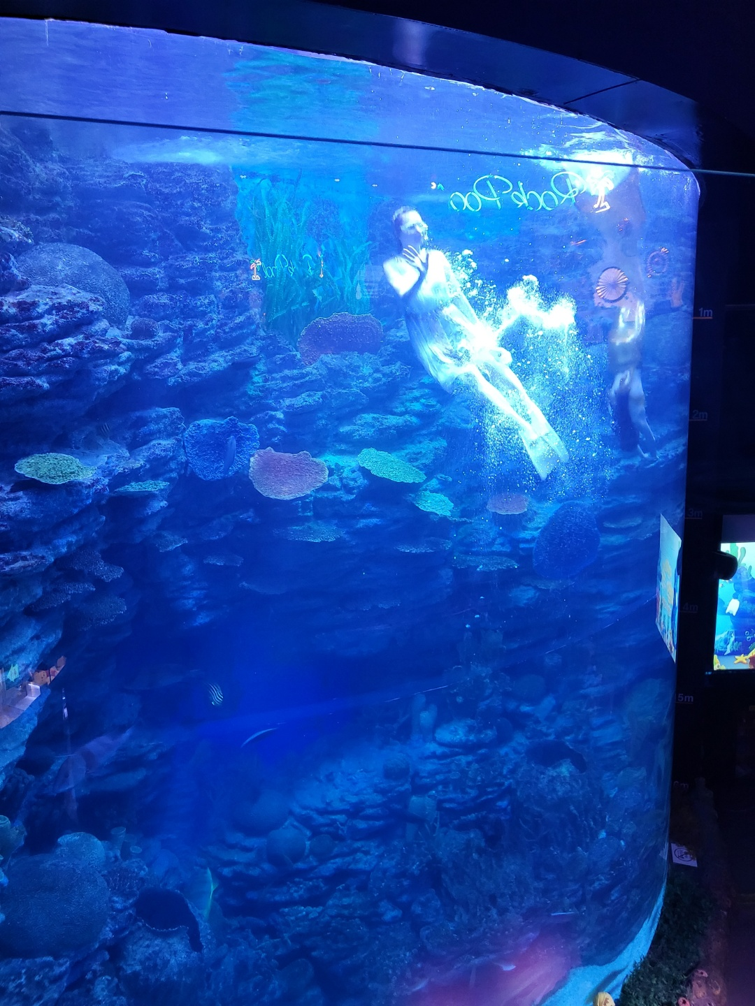 부산 아쿠아리움