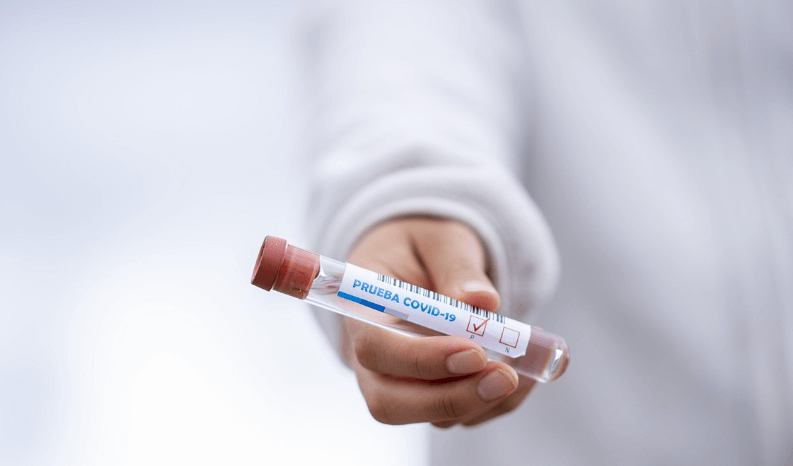 니파 바이러스란?