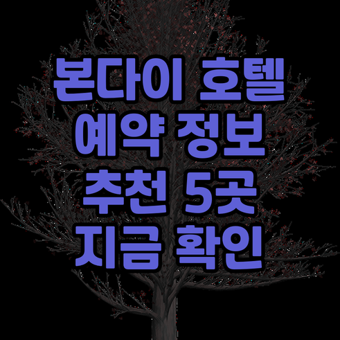 시드니 본다이 비치 호텔 예약 정보 