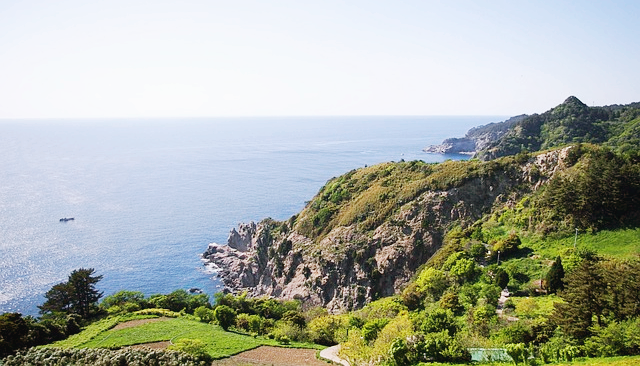 울릉도캠핑가이드관련사진